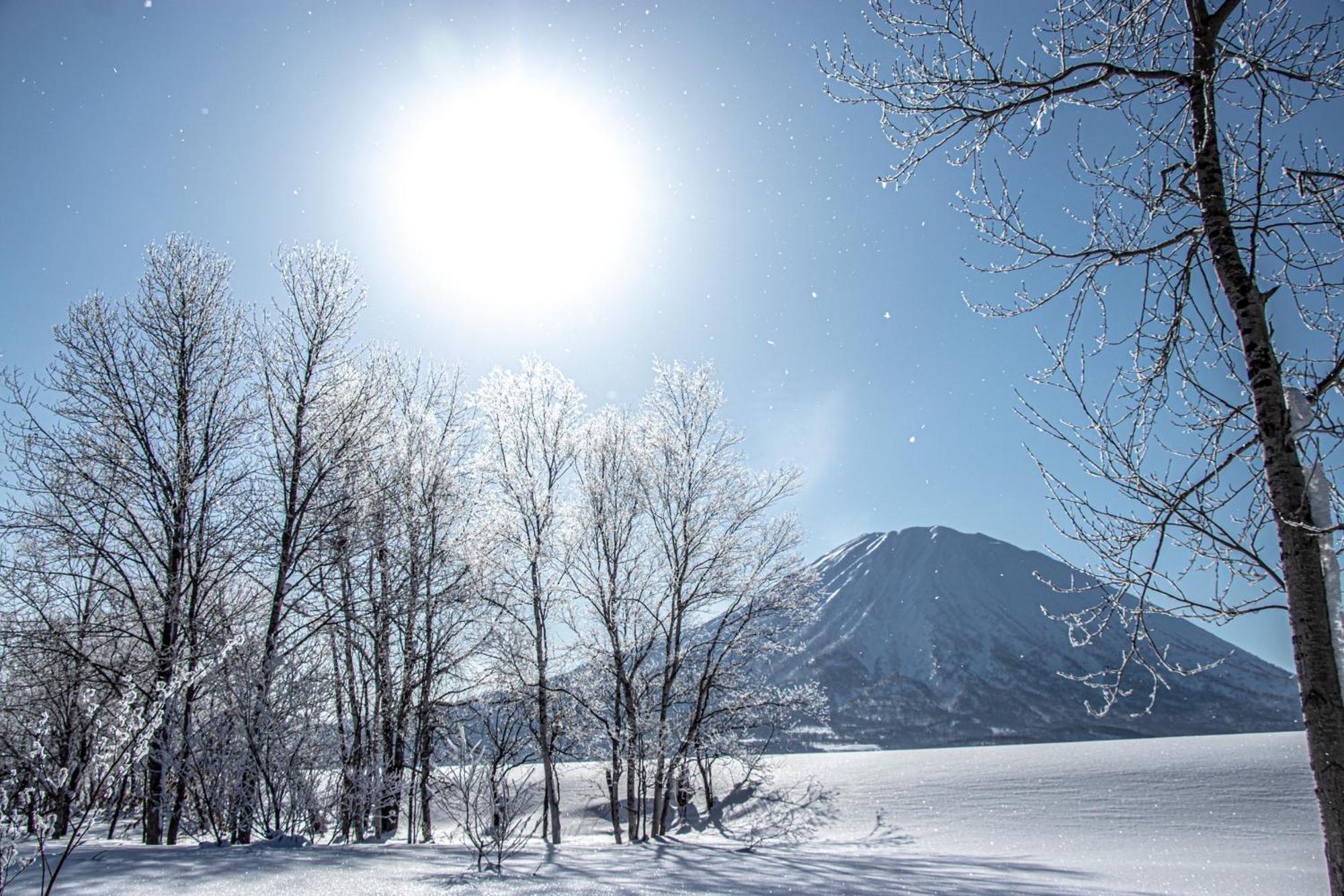Pension Berg Niseko Esterno foto